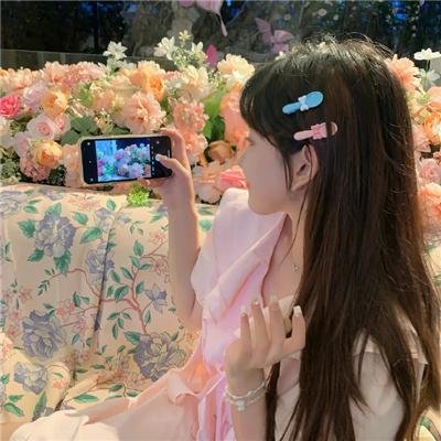 双生赤狐