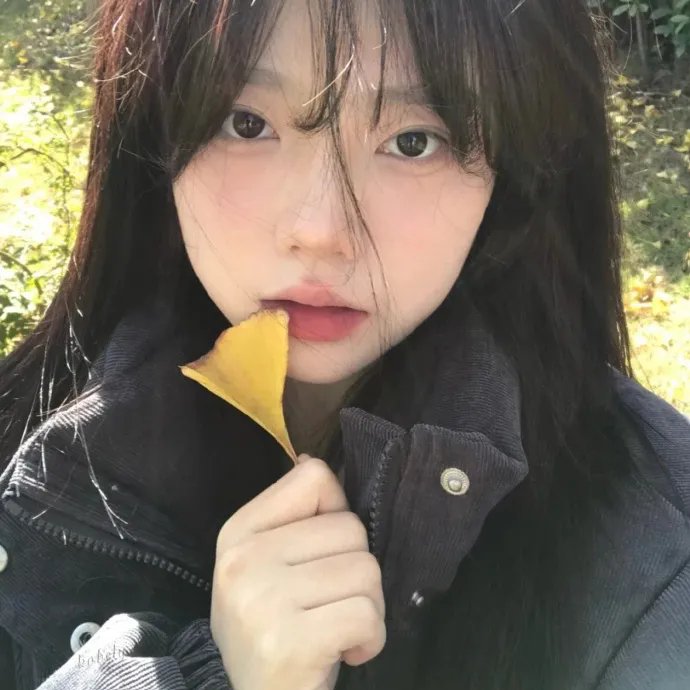猴子